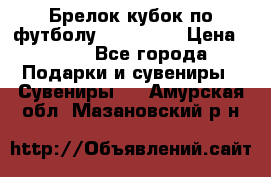 Брелок кубок по футболу Fifa 2018 › Цена ­ 399 - Все города Подарки и сувениры » Сувениры   . Амурская обл.,Мазановский р-н